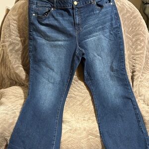 d. jeans Women's Flare Blue Jeans